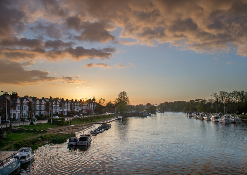 _MG49728