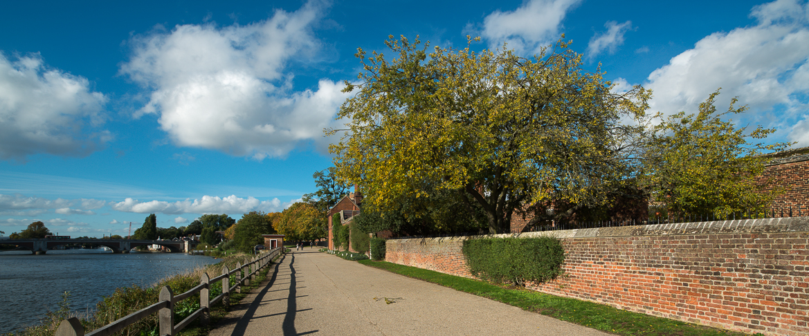 Autumn Colours Hampton Court