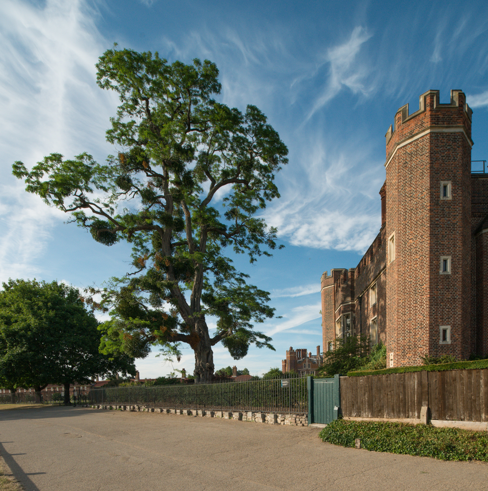 Hampton Court