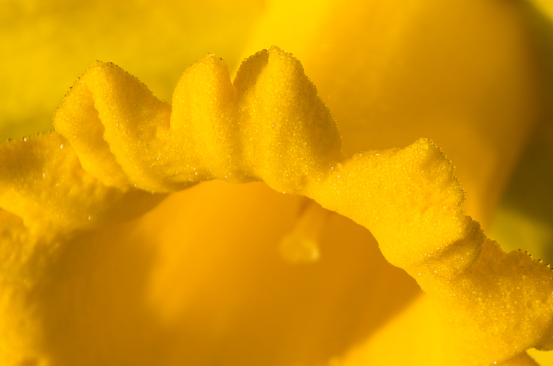 _MGE6685-5