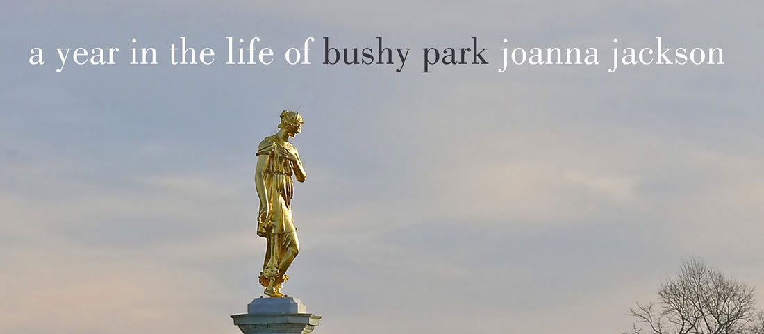 A year in the life of Bushy Park © Joanna Jackson