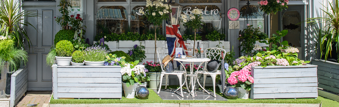 _MGE9179 RHS Bridge Road Best Dressed Window 2016