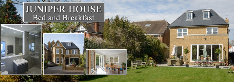 Juniper House Bed and Breakfast