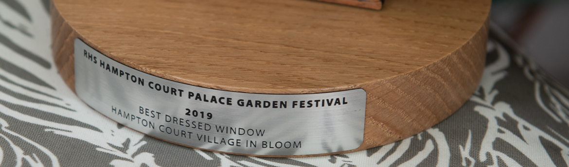 RHS Bridge Road - Best Dressed Window Competion