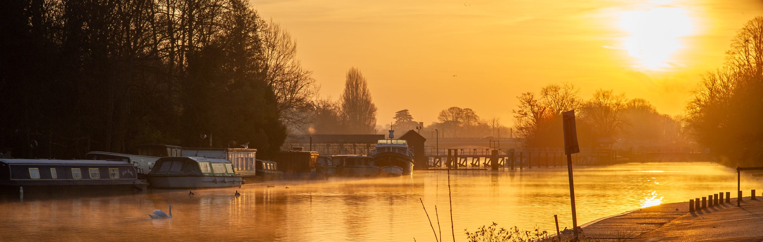 Moleseylife photos from 2012