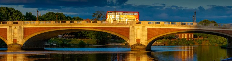 Moleseylife photos from 2011